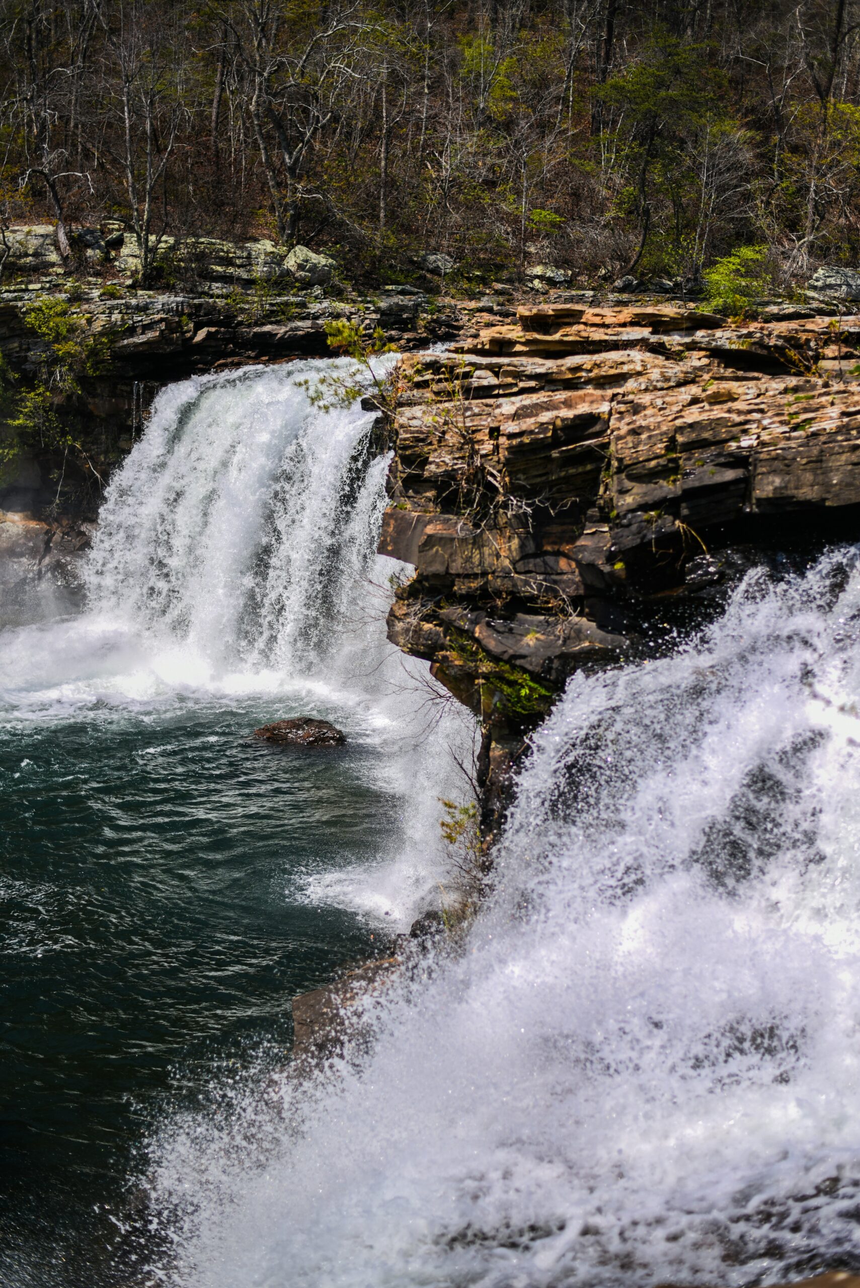 Wildnis und Abenteuer: Die besten Survival-Kurse