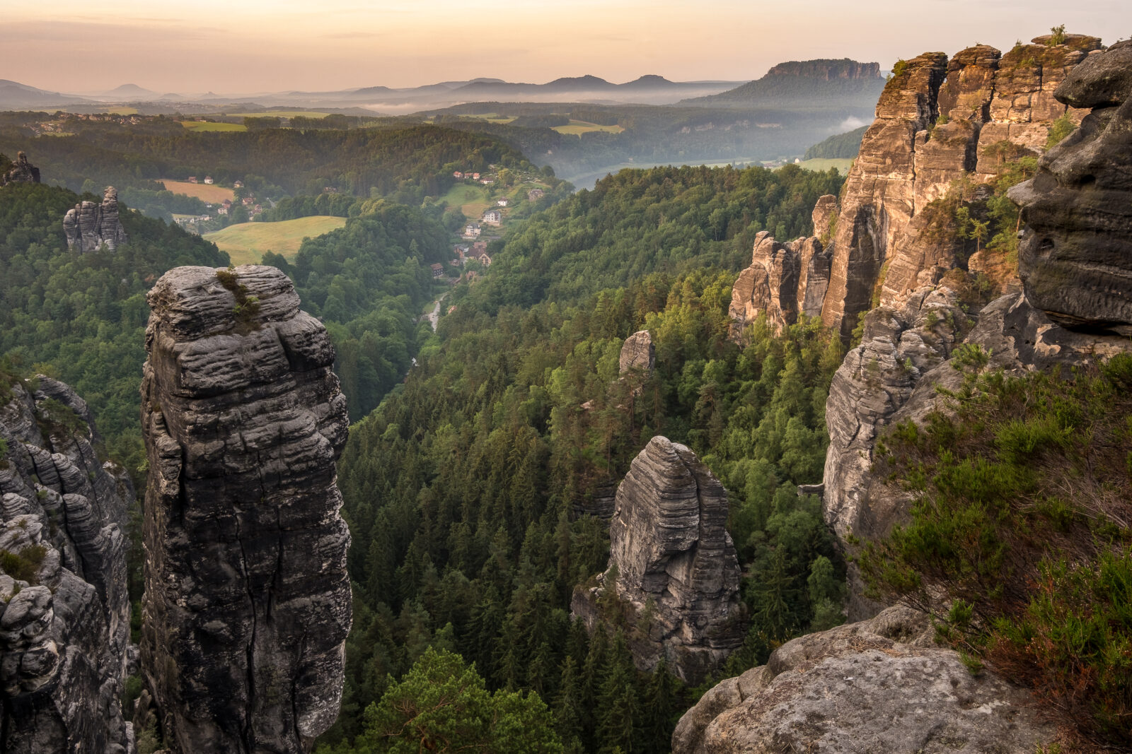 Entdecke die Schönheit der Natur beim Fotografieren