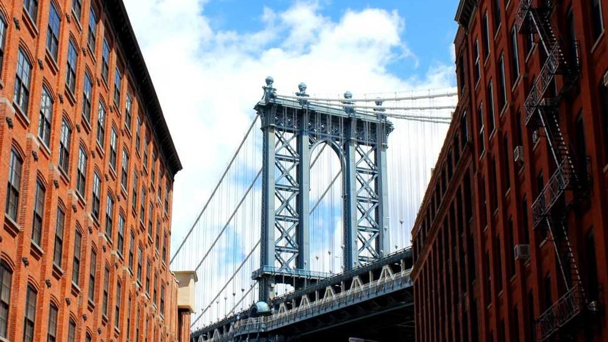 Abenteuer hautnah: Die besten Tierbeobachtungen im Freien