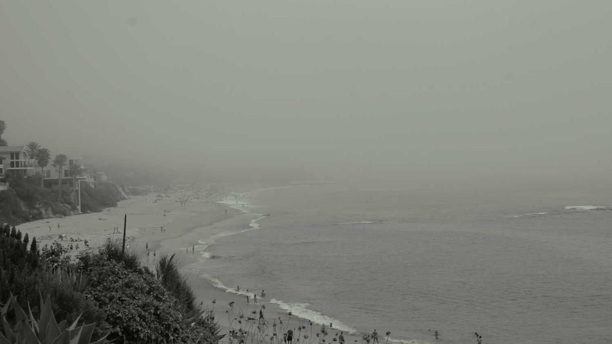 Abenteuer im Dschungel: Expeditionen in tropische Regenwälder