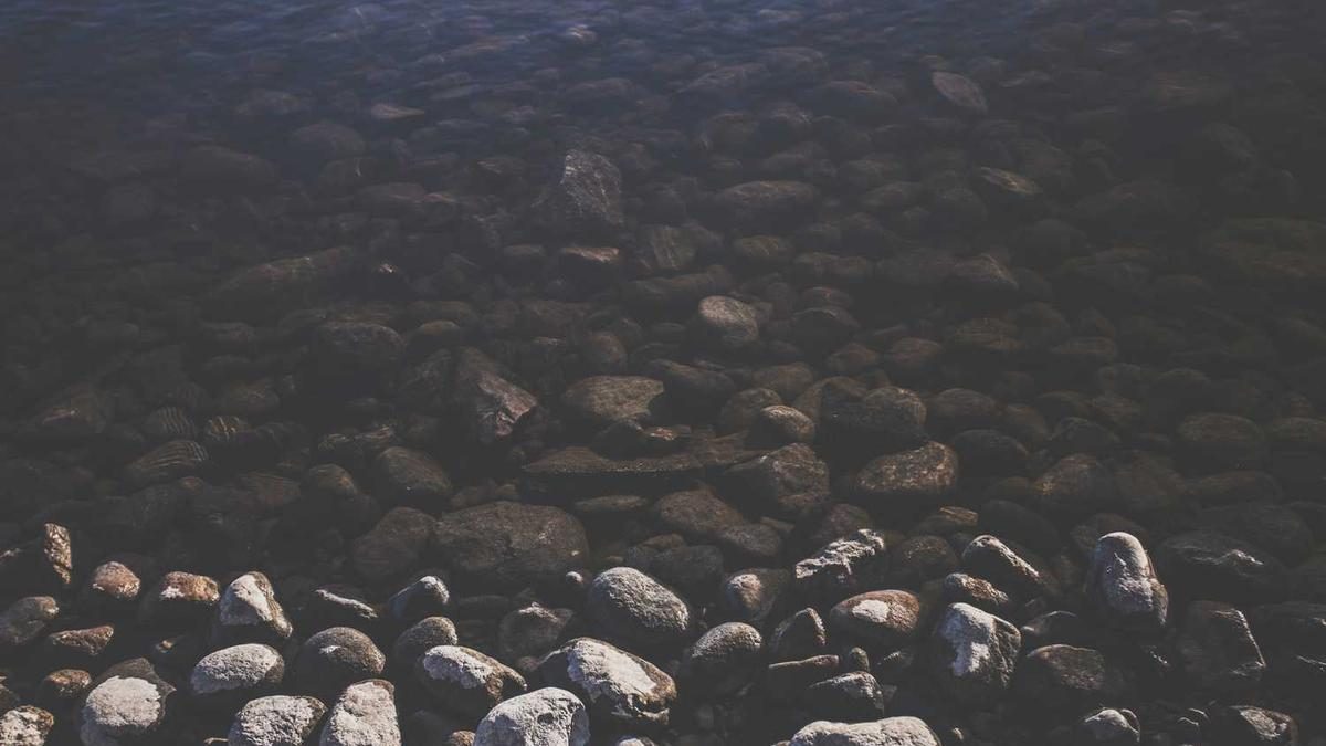 Abenteuer im Nationalpark – Unvergessliche Erlebnisse in der Natur