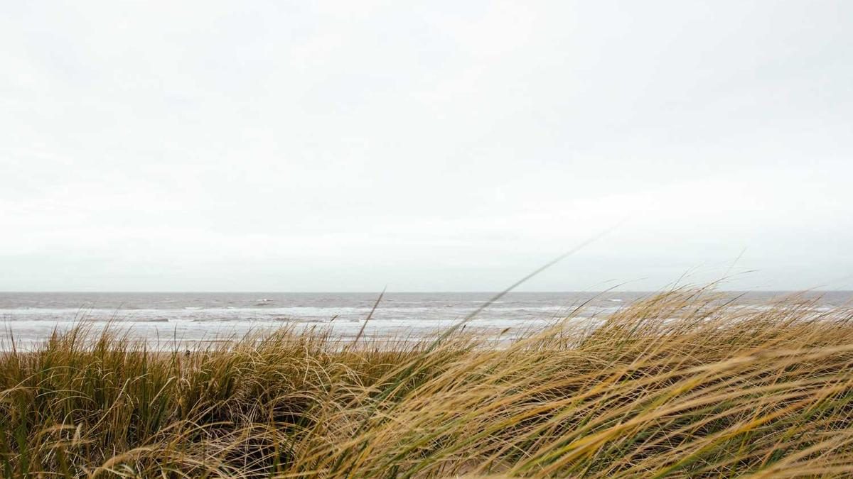 Die Faszination des Überlebens in der Wildnis