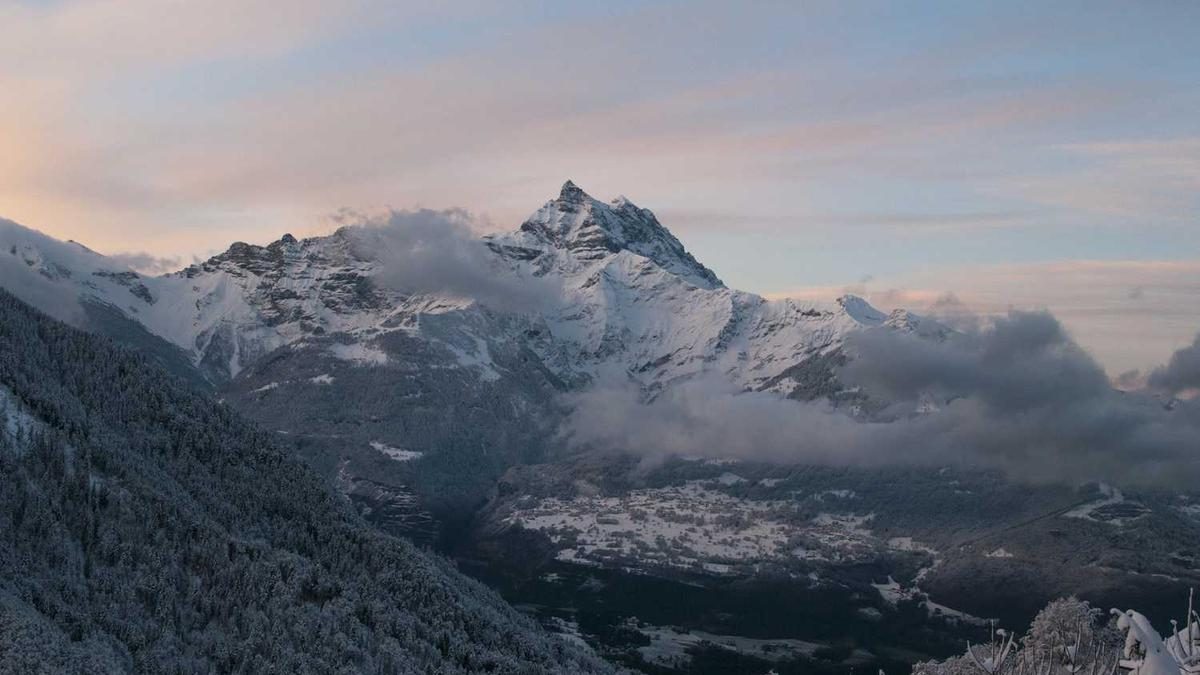 Die Vielfalt der Flora und Fauna auf Naturreisen erleben