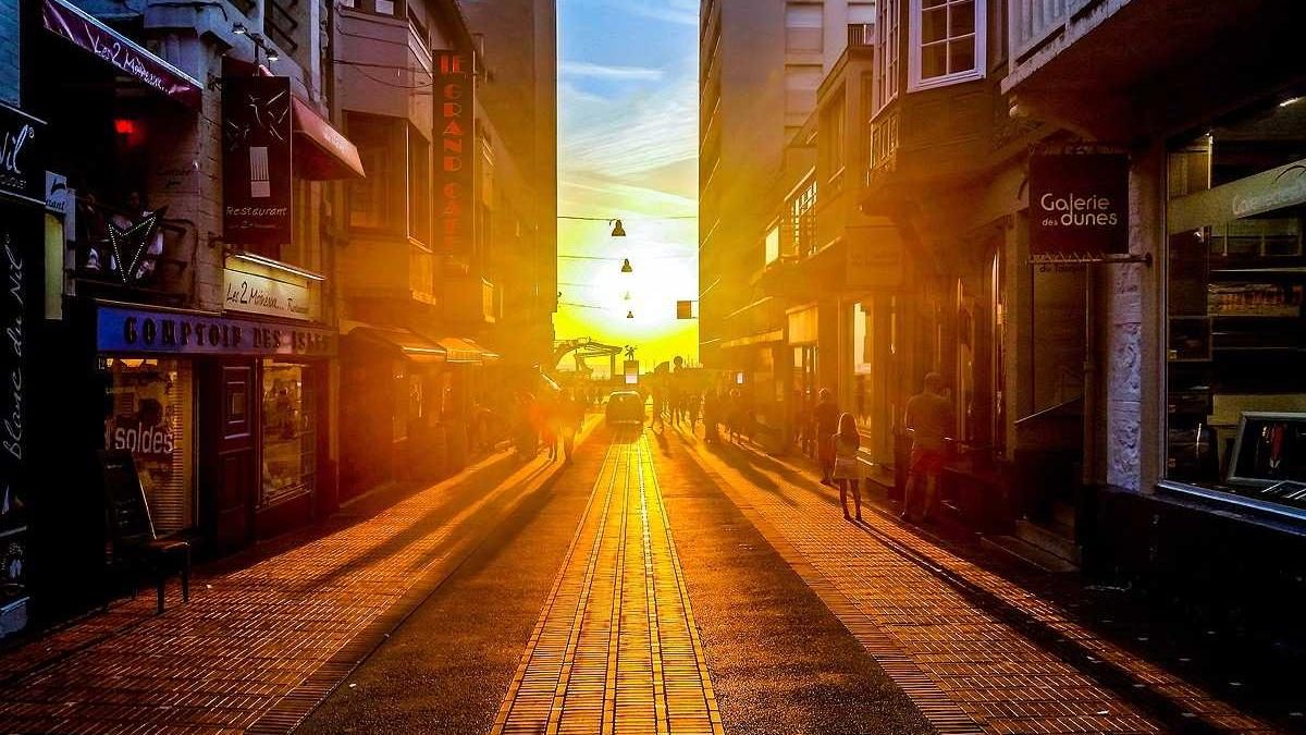 Entdecke die Schönheit der Natur beim Fotografieren