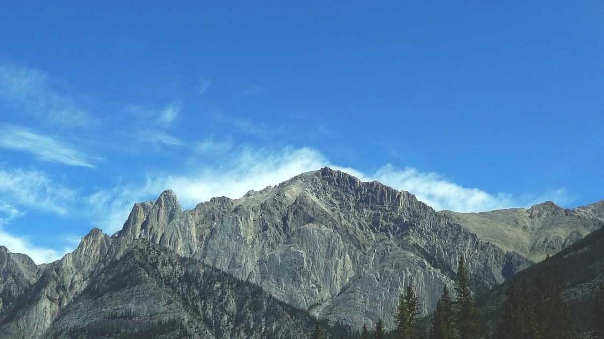 Natur pur: Entspannung bei einer Auszeit im Wald