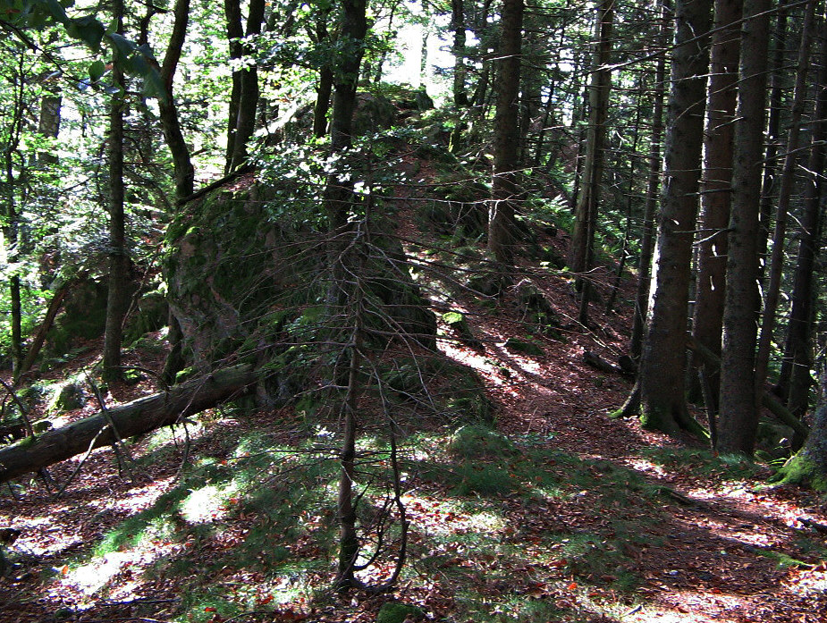 Schwarzwald Uebernacht-Touren: Routen und Regeln