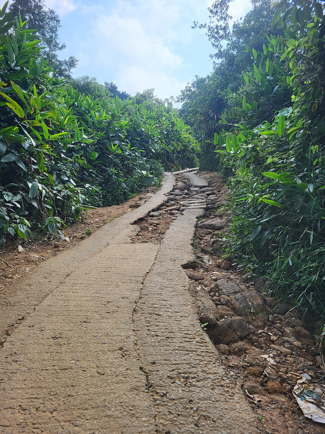 Wie man eine Wanderung in den Bergen angeht