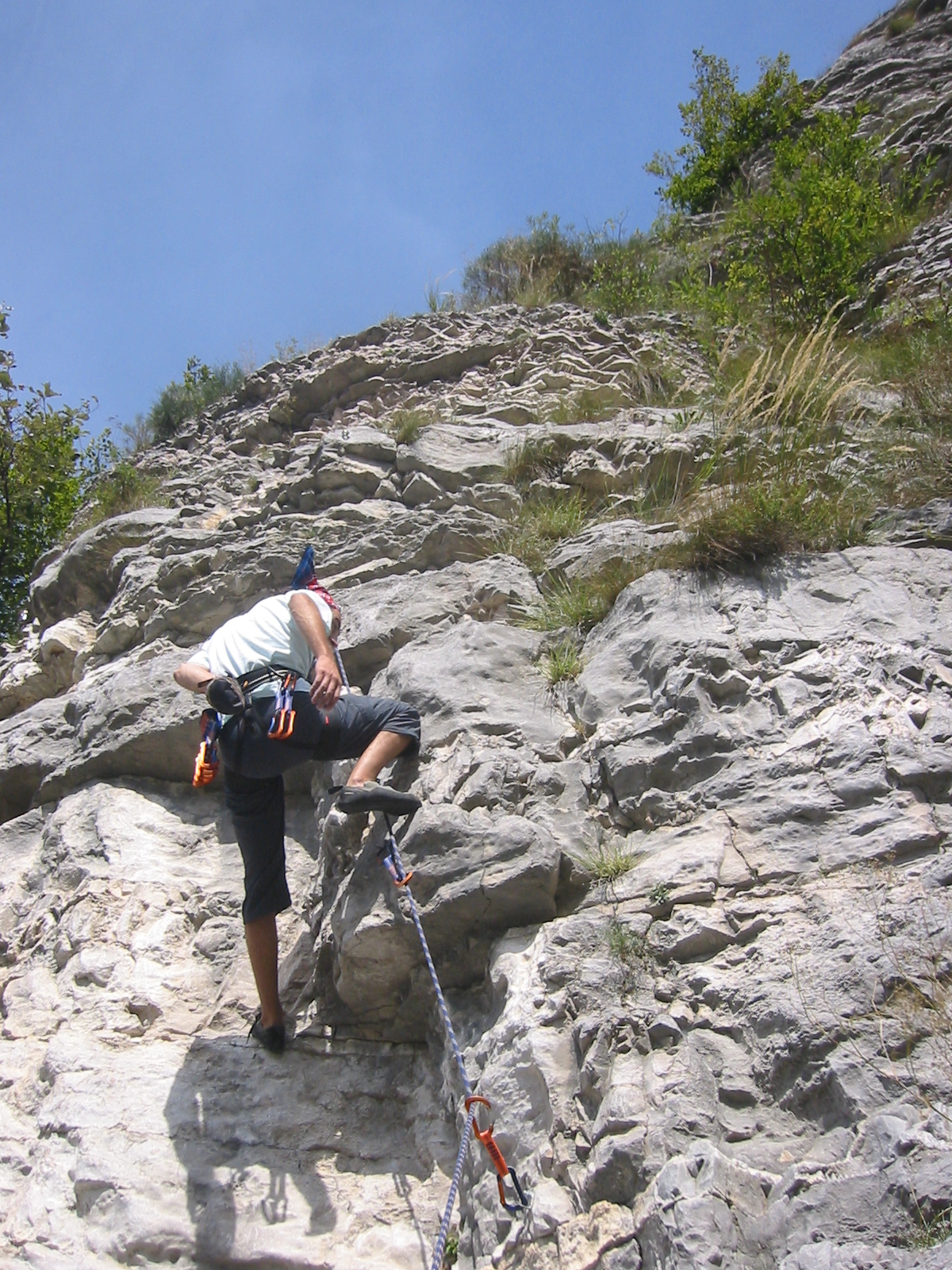 Wie man eine Wanderung mit dem Hund angeht