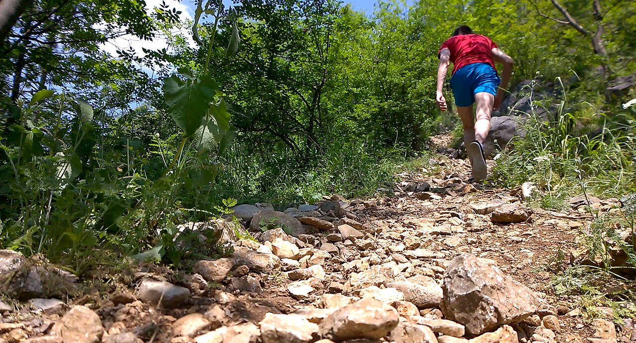 trekking backpack (foto: TudorTulok / CC BY-SA 4.0, Wikimedia Commons)