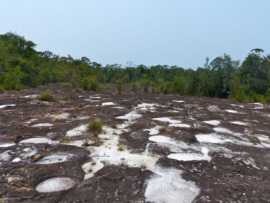 Offene Hochheide mit niedrigem Bewuchs, dahinter bewaldete Kuppen unter tief stehender Sonne
