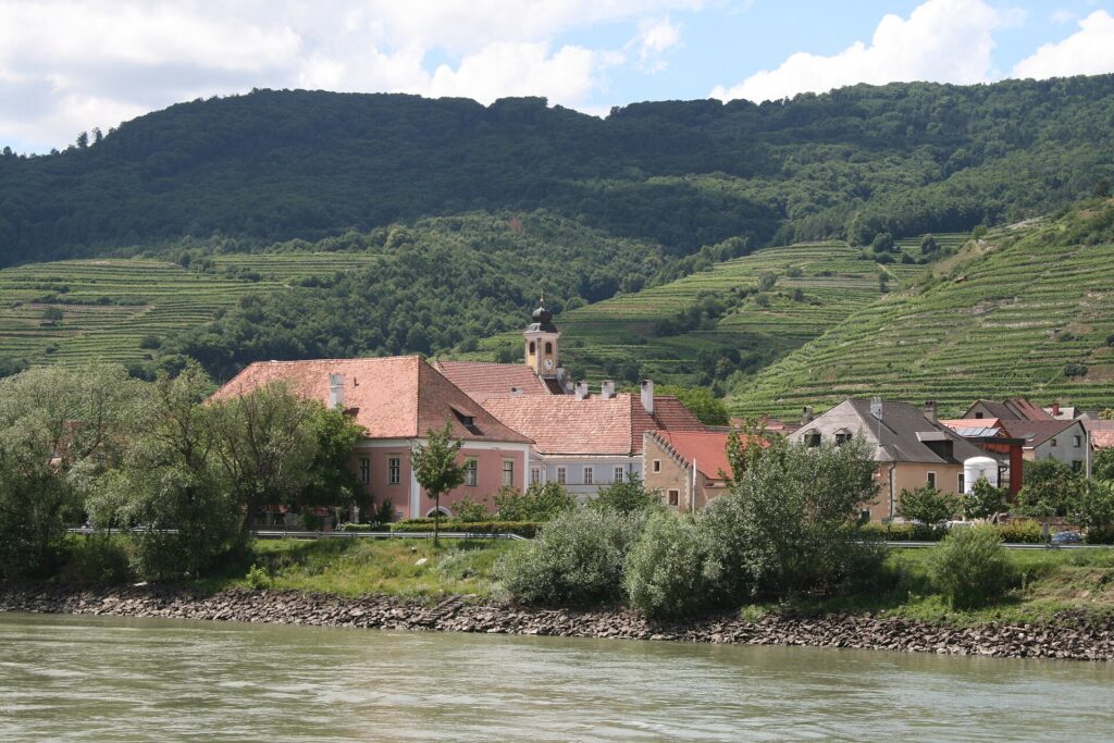 Schmaler Pfad führt in Serpentinen durch eine steile Weinbergslage hoch über dem Fluss