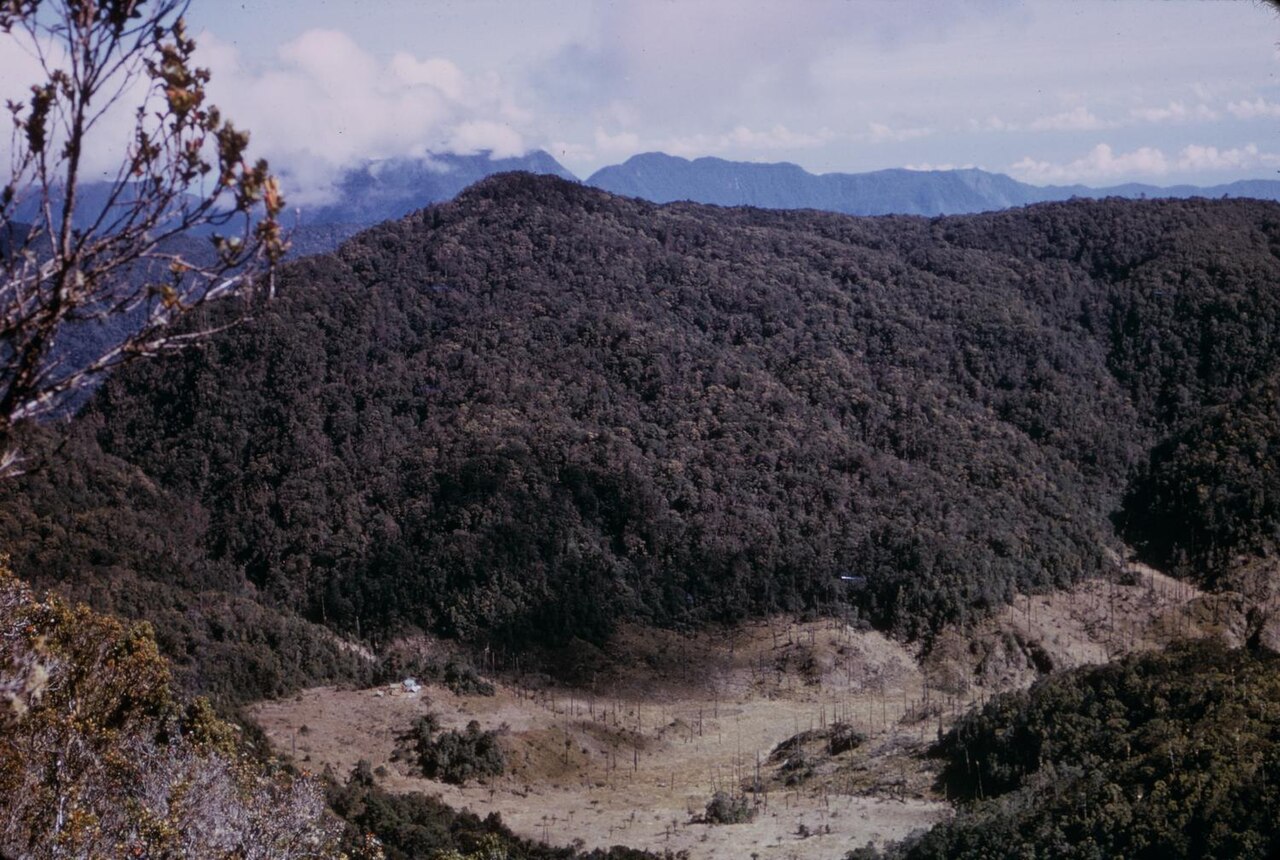 Der Alpenwald im Jahreslauf: Wie sich Bergwälder verändern