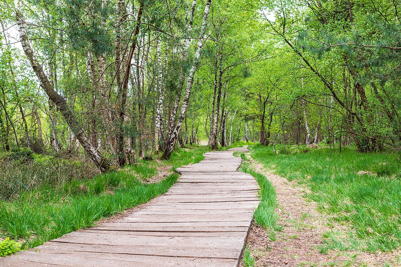 Barrierefreie Naturerlebnisse: Wege für Rollstuhl und Kinderwagen