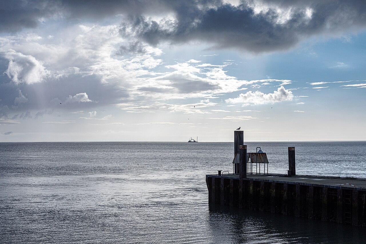 Naturerlebnis Wattenmeer: Wandern zwischen Ebbe und Flut