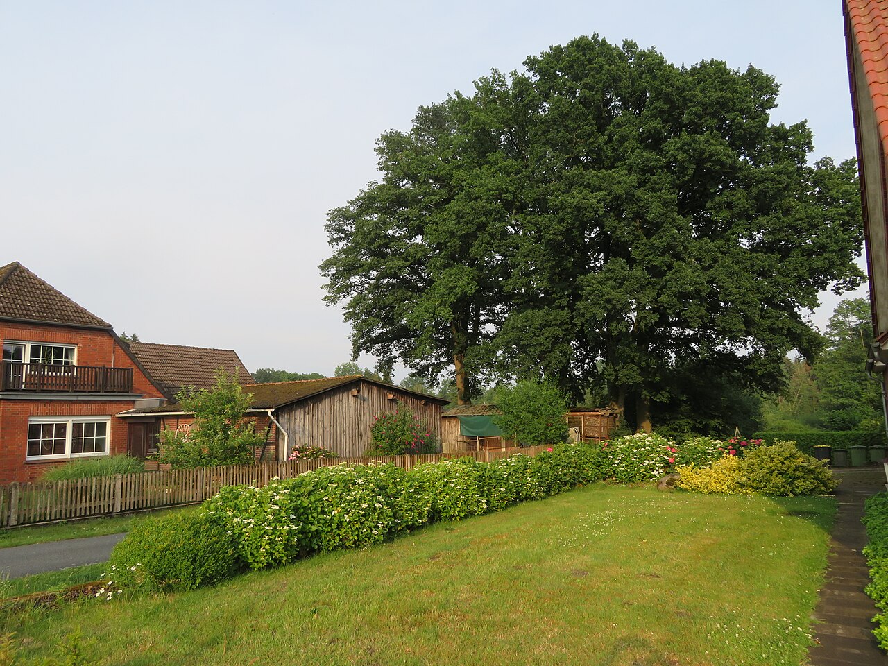 Naturschutzgebiete in der Lüneburger Heide entdecken