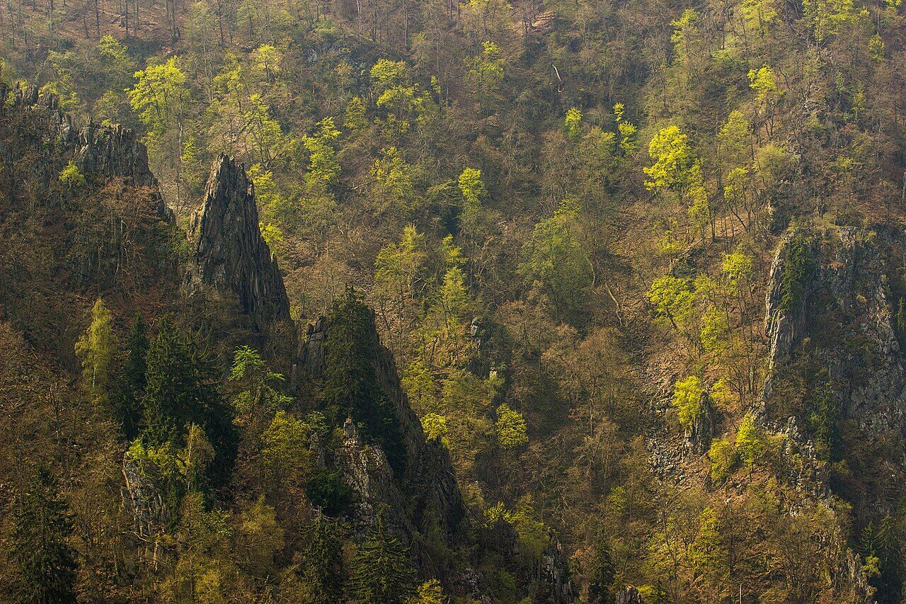 Wandern im Harz: Vom Brocken bis ins Bodetal