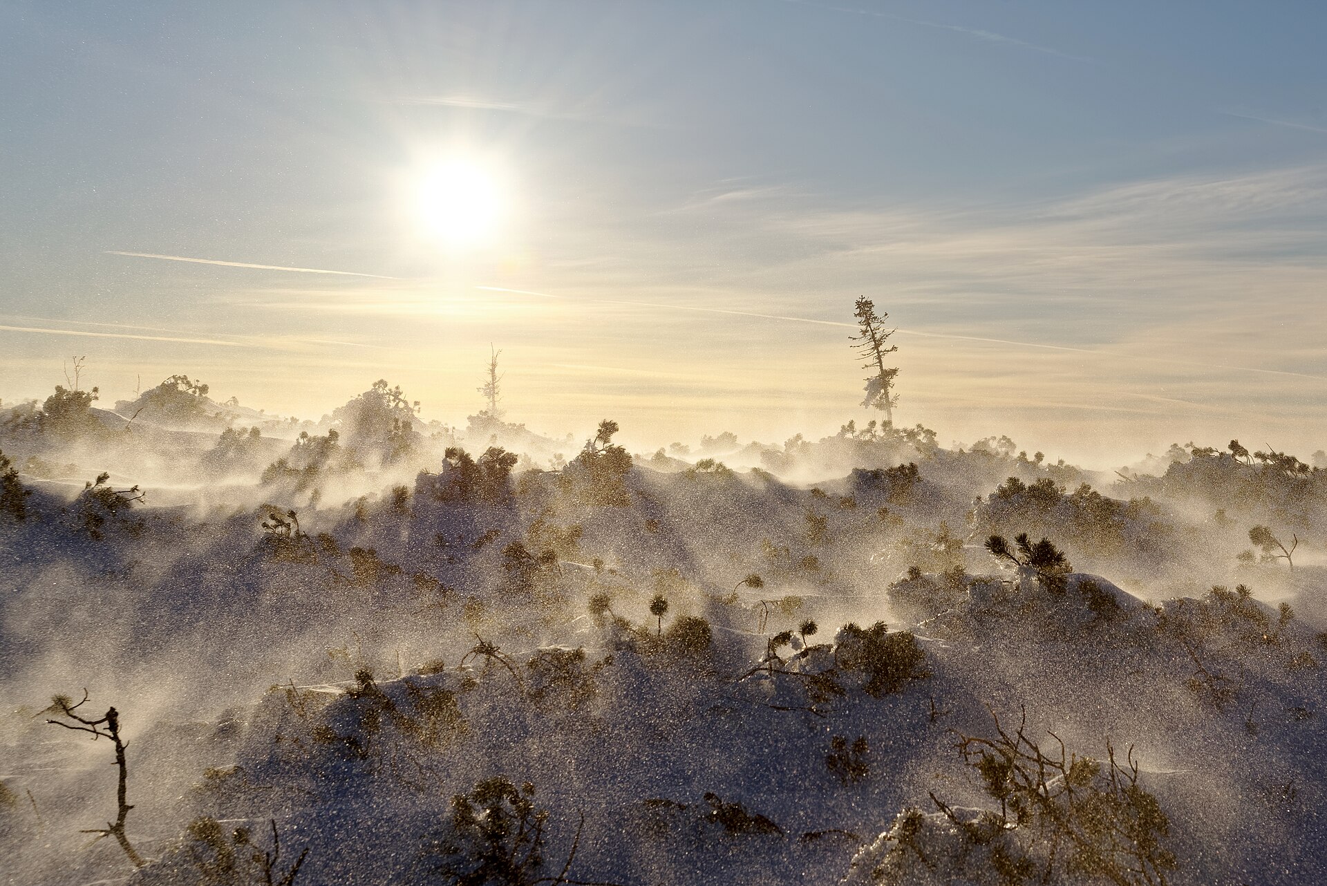 Firn trägt morgens, Blankeis nie