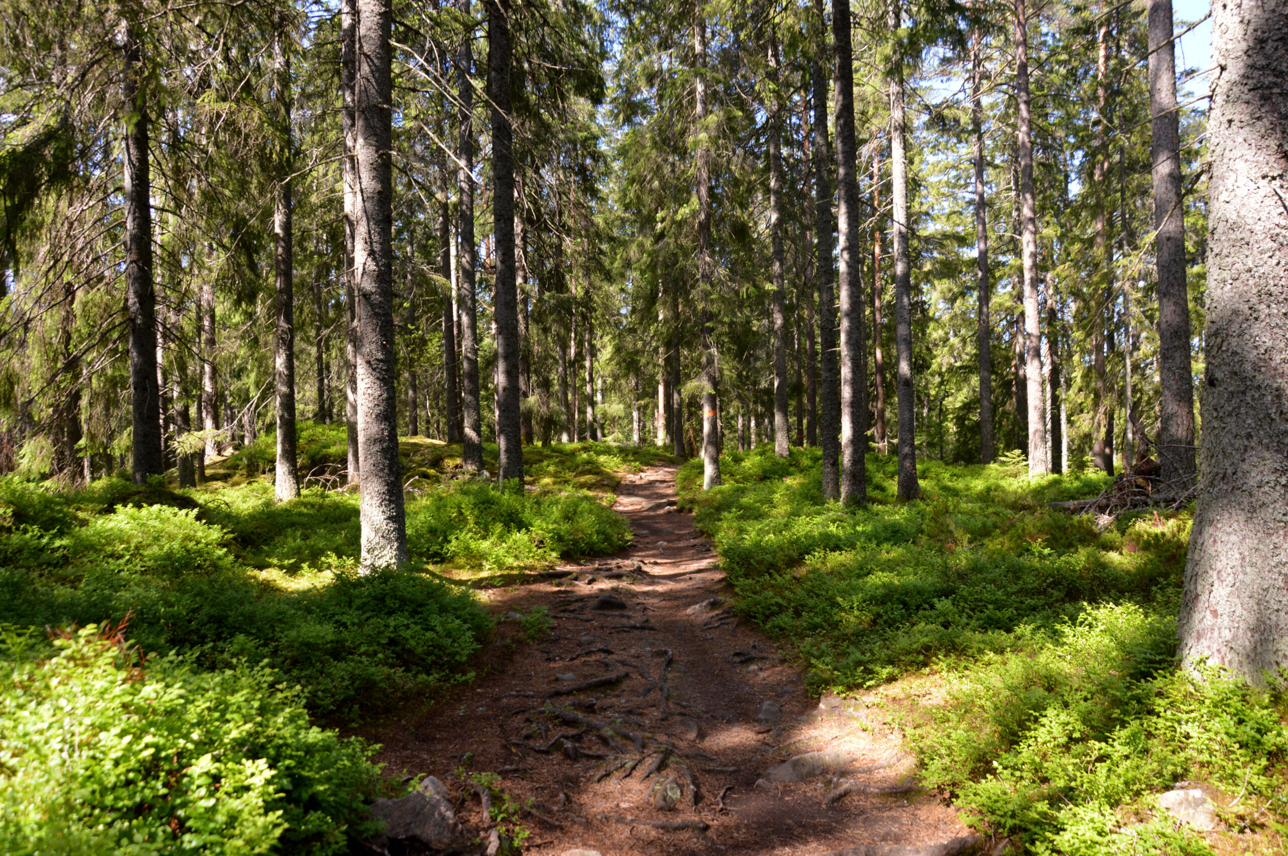 Nachts wandern verlangt ein anderes Tempo als tagsüber