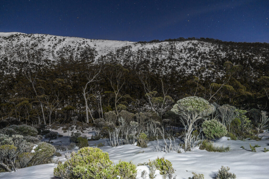 Verschneite offene Fl&auml;che unter klarem Nachthimmel, der Schnee wirft das Restlicht zur&uuml;ck