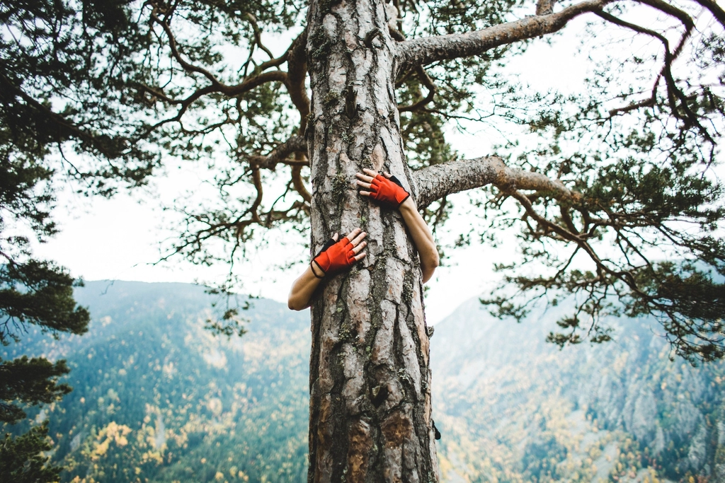 Handschuhe, Karabiner und Seil liegen am Einstieg auf einem Felsblock im Morgenschatten